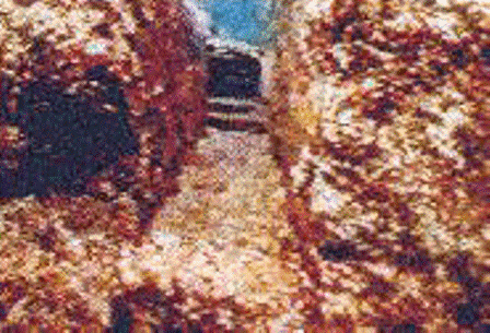Thumb from japan03.gif